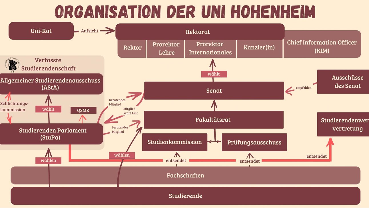 Schematische Darstellung der Organisationsstruktur der Uni Hohenheim. Gezeigt werden die Beziehungen zwischen Uni-Rat, Rektorat, Senat, Fakultätsrat sowie Studien- und Prüfungsgremien. Links ist die Verfasste Studierendenschaft mit Studierendenparlament (StuPa) und AStA dargestellt. Studierende wählen oder entsenden Vertretungen in verschiedene universitäre Gremien. Pfeile verdeutlichen Aufsichts-, Wahl- und Entsendungsbeziehungen.